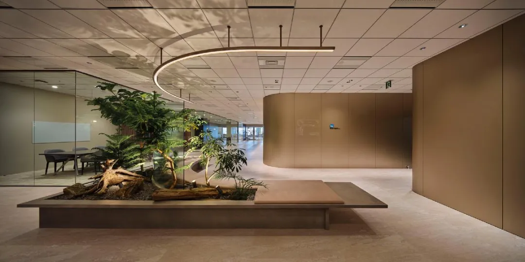 世界杯投注(中国区)官方合作网站