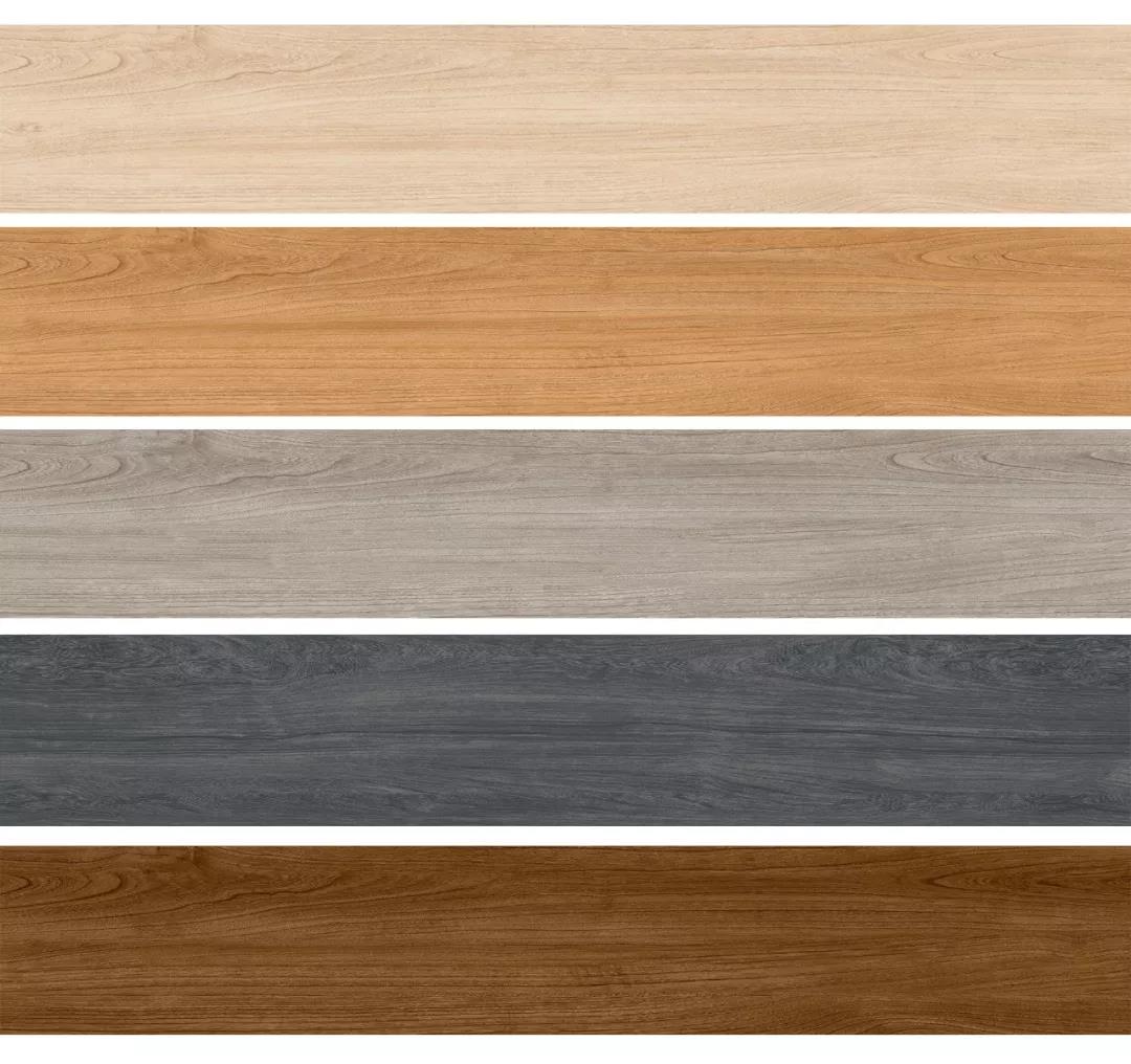 世界杯投注(中国区)官方合作网站