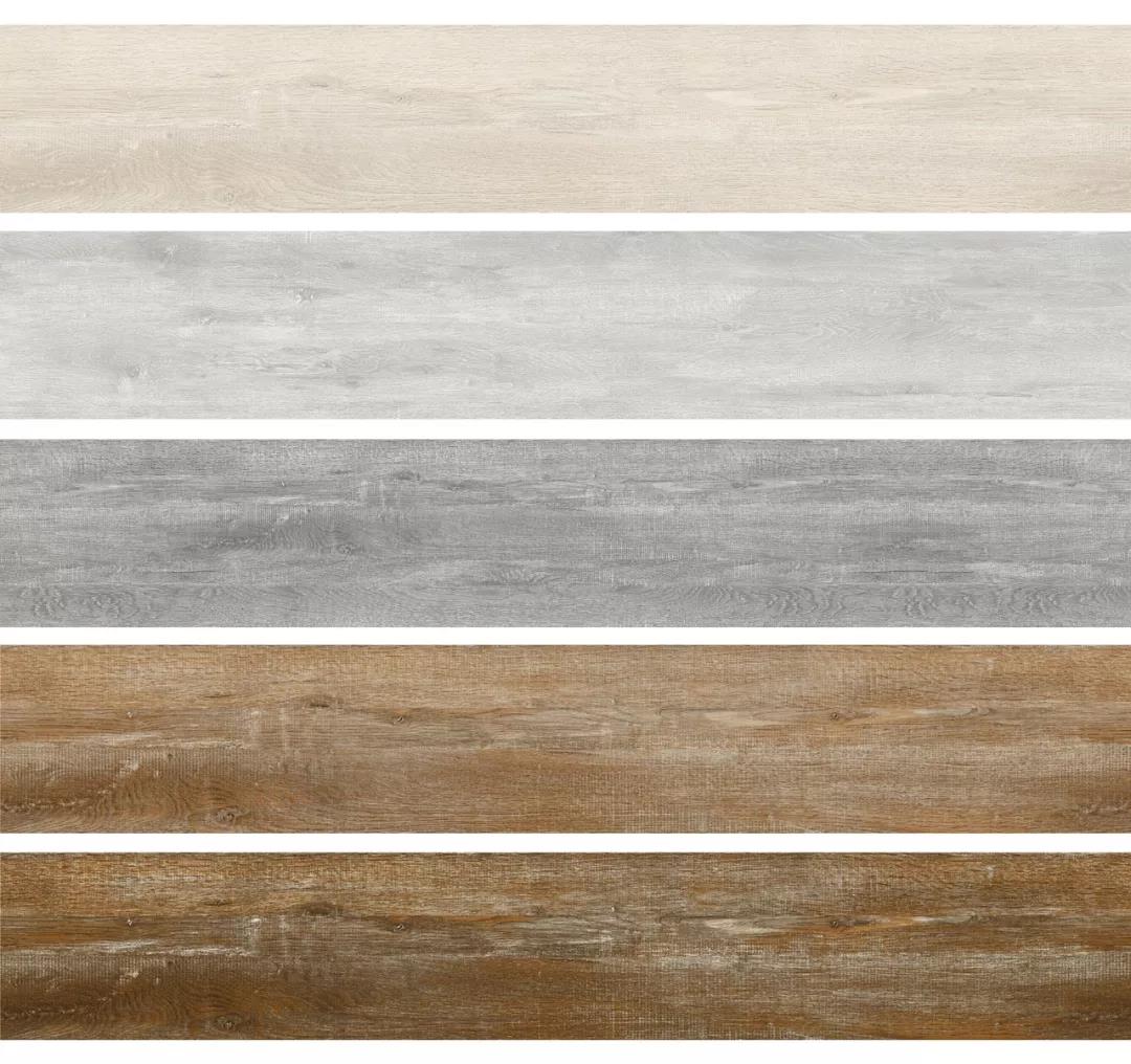 世界杯投注(中国区)官方合作网站