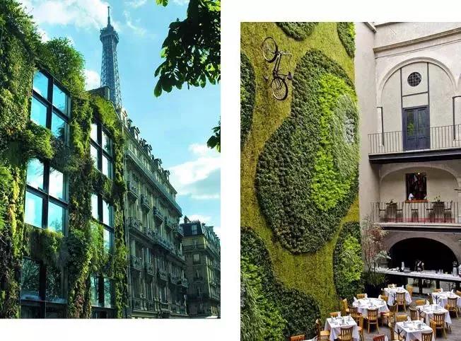 世界杯投注(中国区)官方合作网站