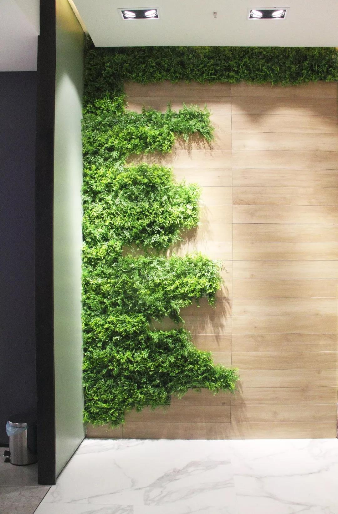 世界杯投注(中国区)官方合作网站