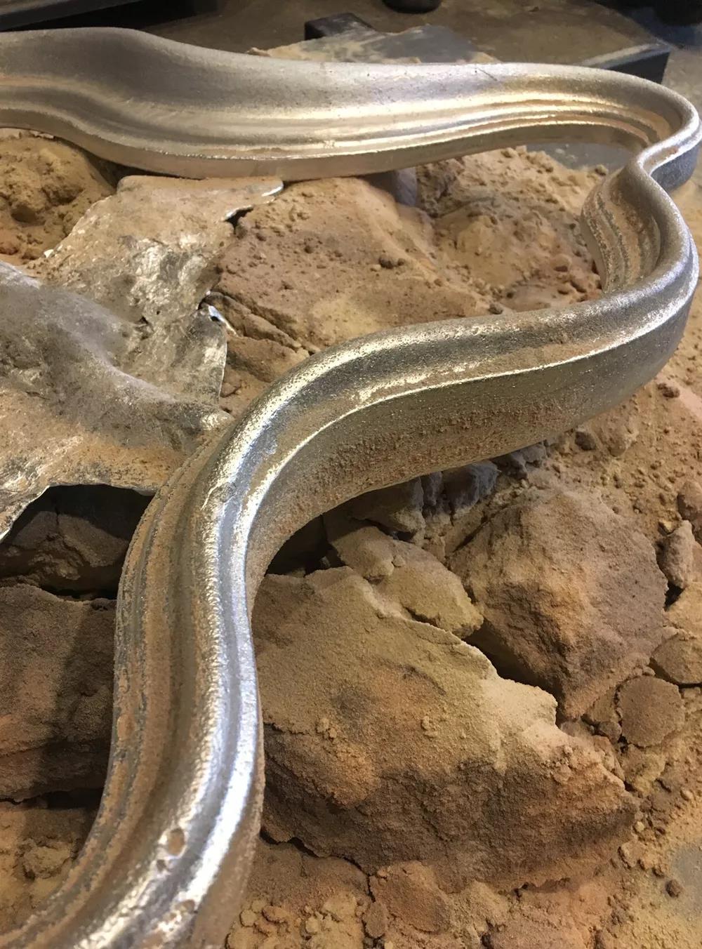 世界杯投注(中国区)官方合作网站