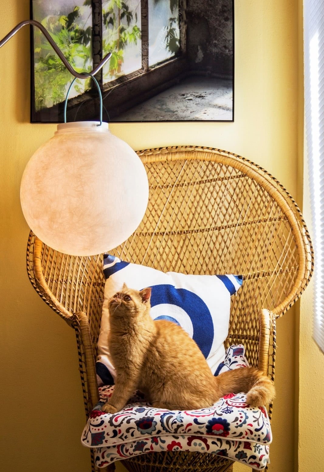 世界杯投注(中国区)官方合作网站