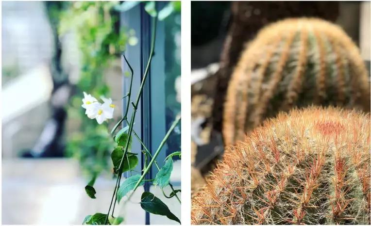 世界杯投注(中国区)官方合作网站