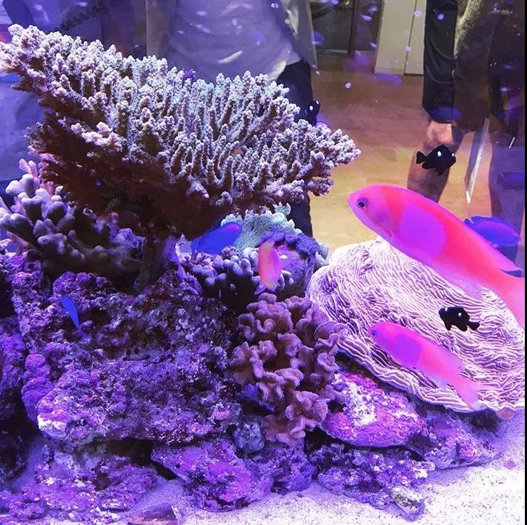 世界杯投注(中国区)官方合作网站