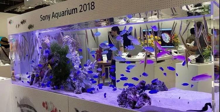 世界杯投注(中国区)官方合作网站