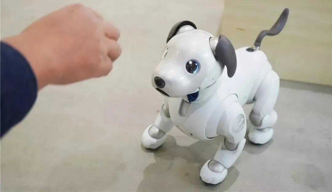 世界杯投注(中国区)官方合作网站