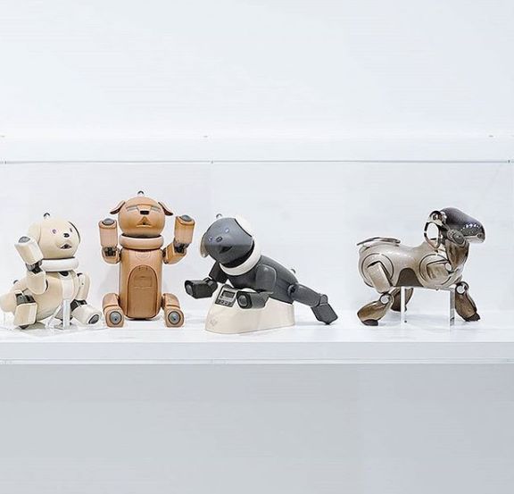 世界杯投注(中国区)官方合作网站