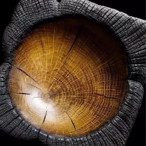 世界杯投注(中国区)官方合作网站