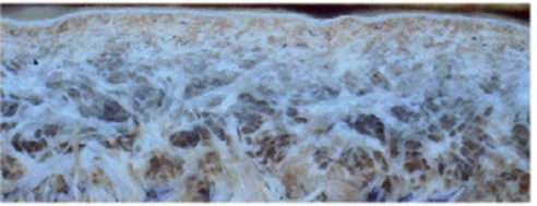 世界杯投注(中国区)官方合作网站