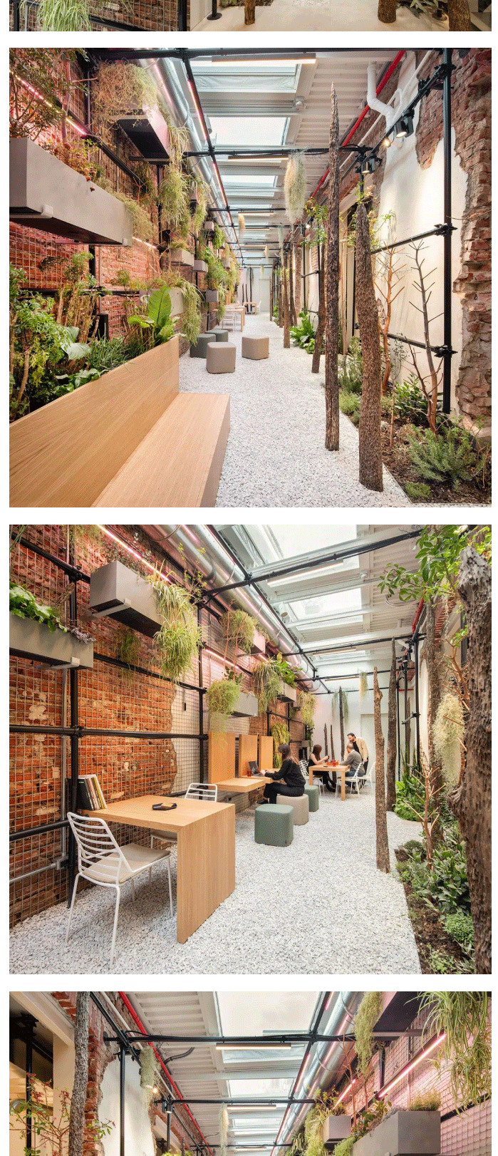 世界杯投注(中国区)官方合作网站