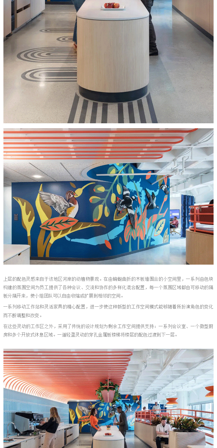 世界杯投注(中国区)官方合作网站