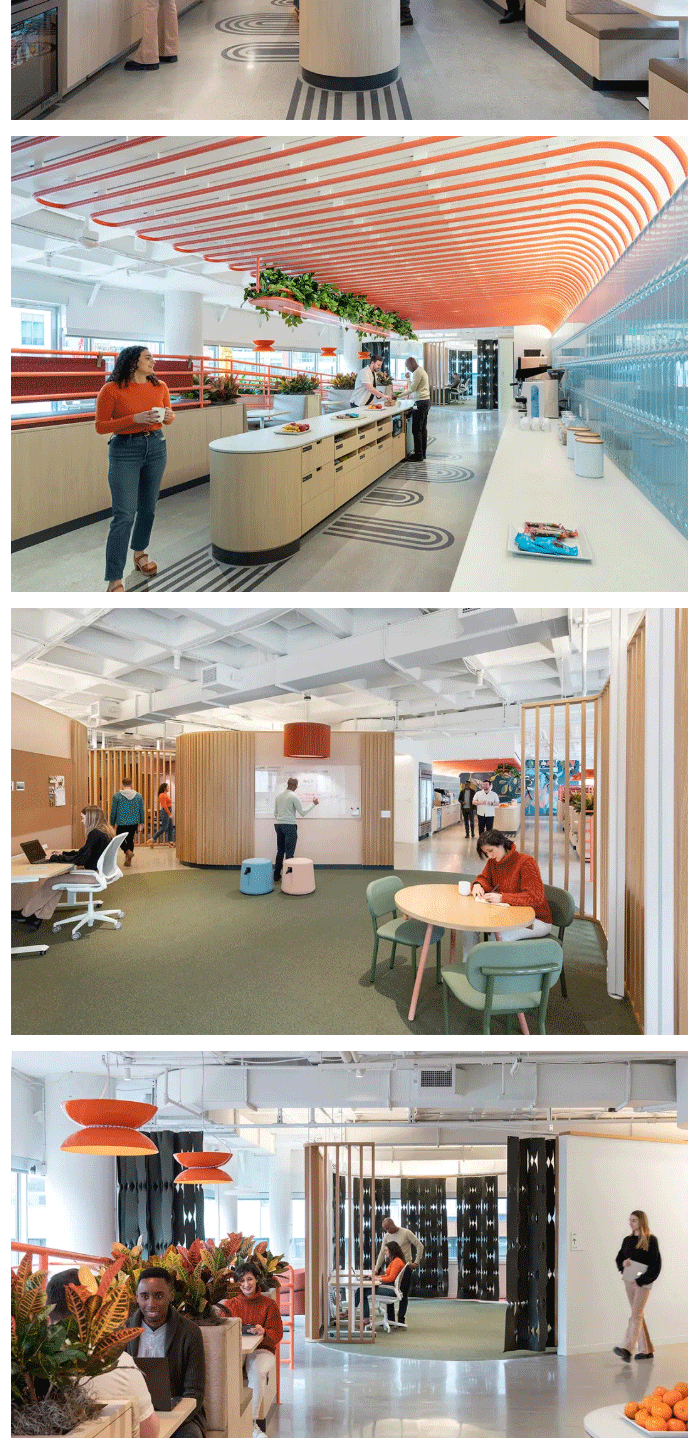 世界杯投注(中国区)官方合作网站