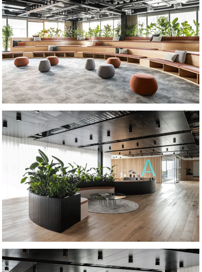 世界杯投注(中国区)官方合作网站