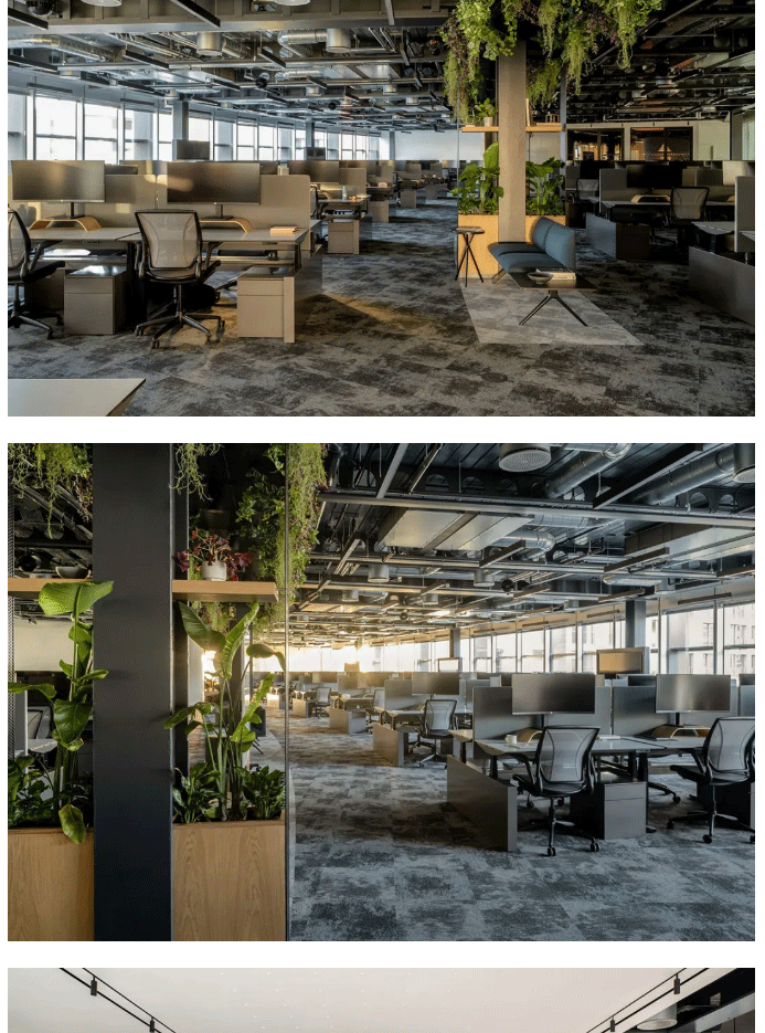 世界杯投注(中国区)官方合作网站