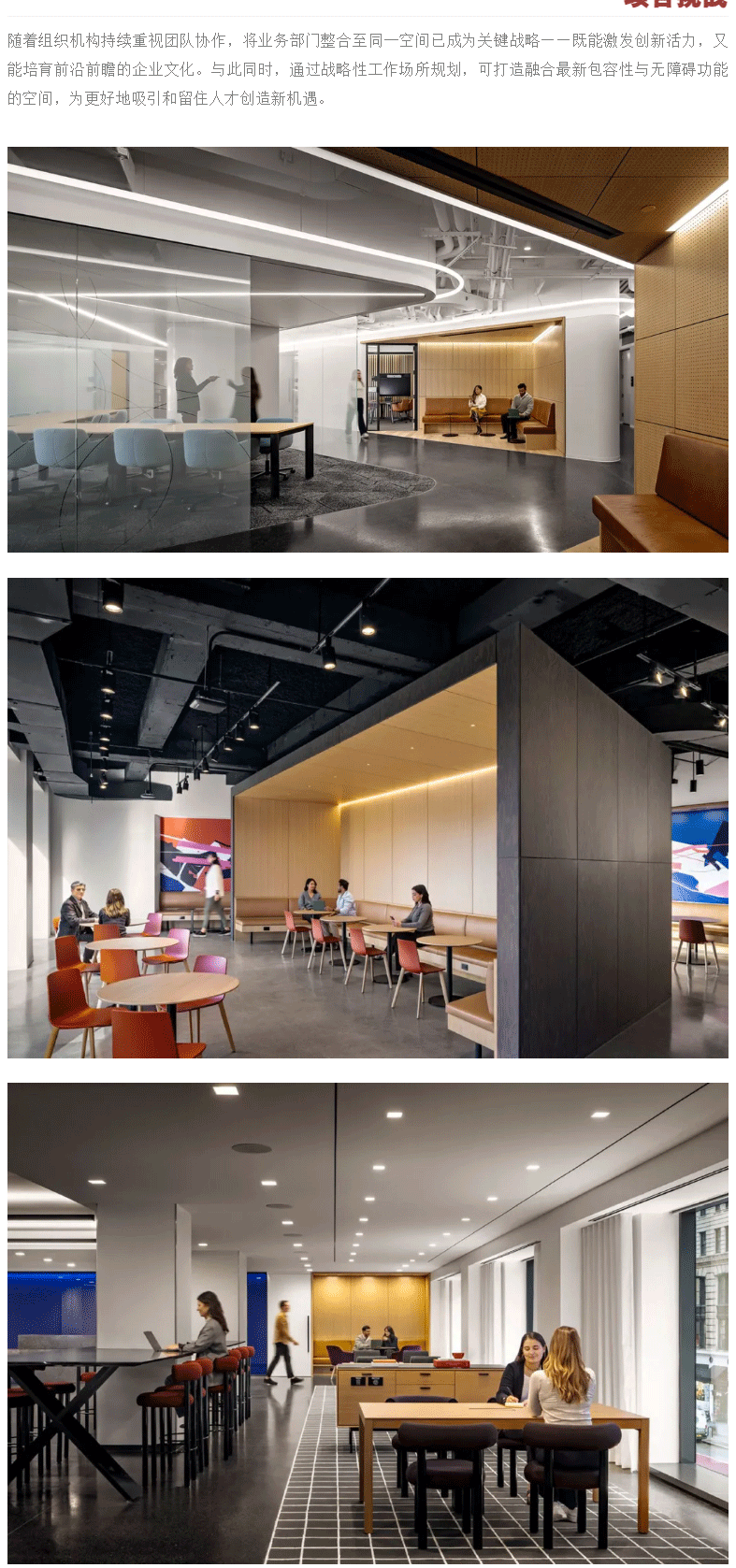 世界杯投注(中国区)官方合作网站